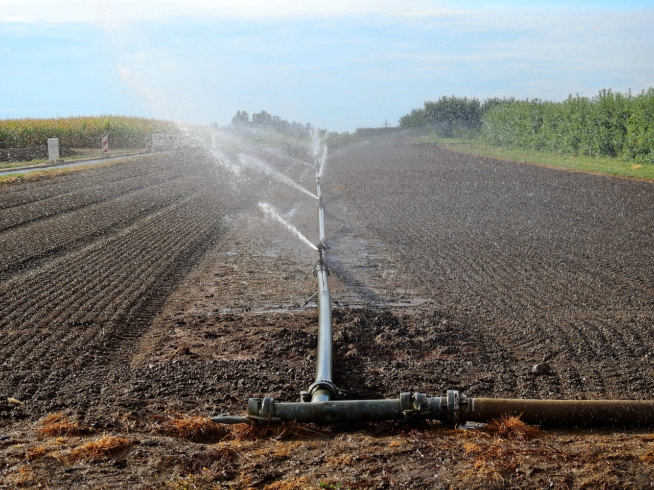 Az öntözésre alkalmas hazai vízkészletek